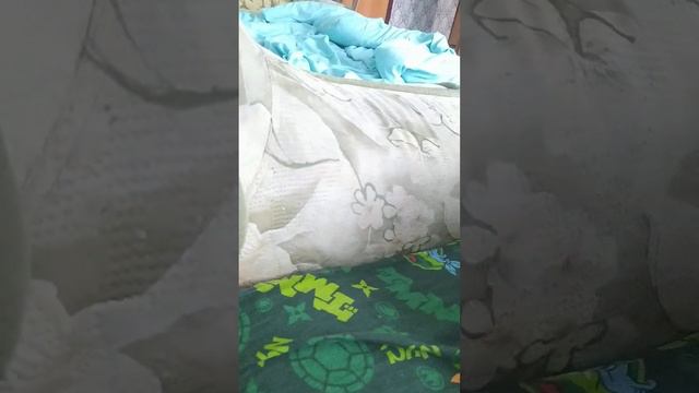 Хелпик будет 24 часа в гробу смотреть онлайн