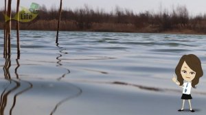 Как правильно ловить судака весной для максимального улова? Секреты ловли судака весной!