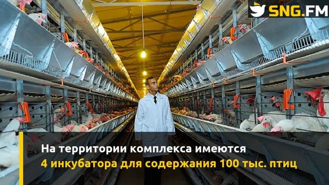 В Ахалском велаяте появился новый птицеводческий комплекс смотреть онлайн