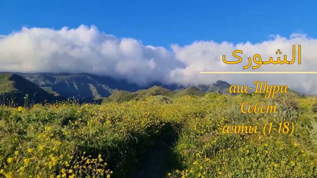 КОРАН (сура 42), аш-Шура "Совет" (аят 1-18) тафсир Абдуррахман ибн Насир ас-Саади смотреть онлайн