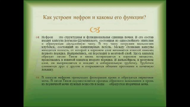 Выделение. Урок биологии. смотреть онлайн