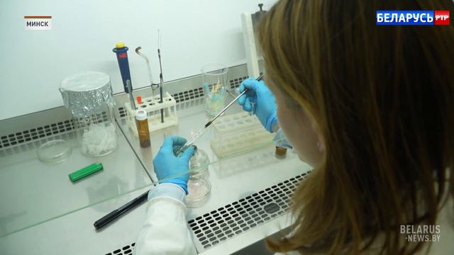 Белорусские учёные на основе ДНК разработали лекарство, которое создаёт сосуды смотреть онлайн