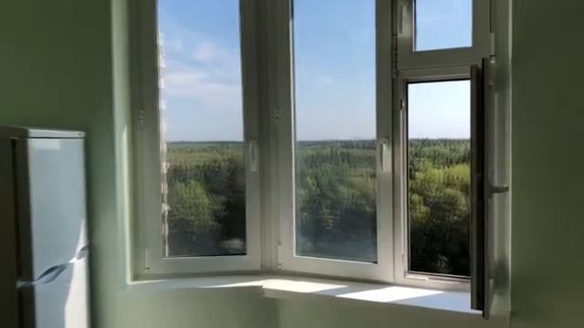 1 комнатная квартира Брёхово, улица Школьная, дом 10 смотреть онлайн