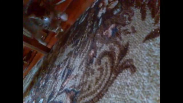 Марселло и картошка смотреть онлайн