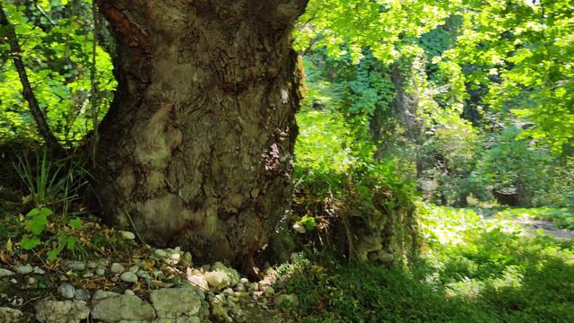 Абхазия,Новый Афон, Пещеры, Грот, часть 2....Съемки монастыря с дрона...2024 Пещера святого Ипатия