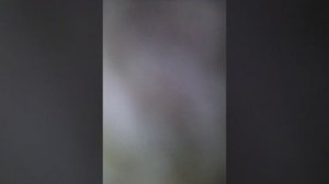 Военная песня журавли