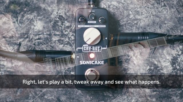 Sonicake CRY-BOT | QuAck Tones (no talk) смотреть онлайн