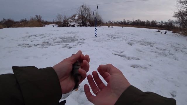 ВОТ ЭТО ЛАПОТЬ КЛЮНУЛ!!! Крупный карась зимой. Зимняя рыбалка на озере 2018. смотреть онлайн