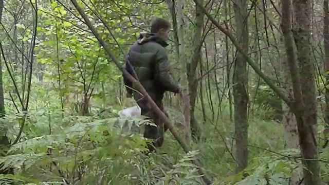 По грибы фильм 2(1) смотреть онлайн
