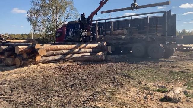 Срубы из Мордовии . Обычные будние дни компании MordowSrub смотреть онлайн