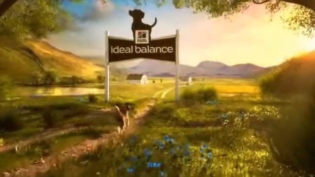 Новый корм для собак Hills Ideal Balance смотреть онлайн