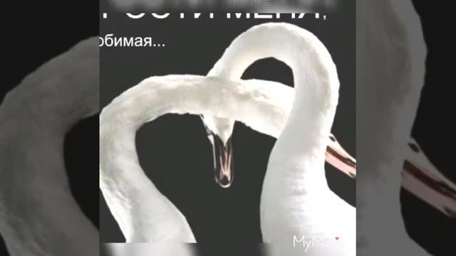 Любимаи оксане смотреть онлайн