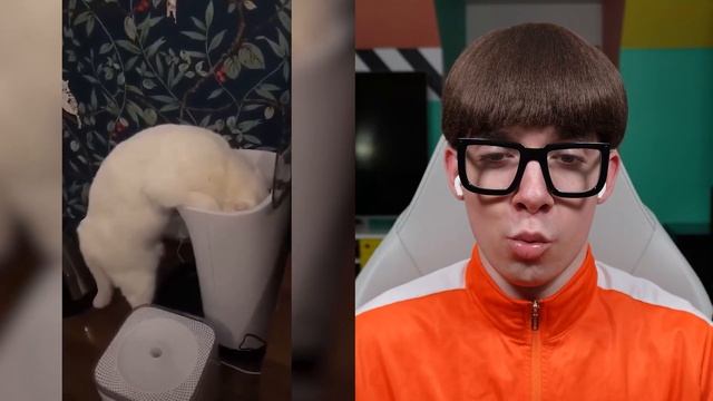 Would You Slap This Baby For $1,000,000? VECTOR REACTS смотреть онлайн