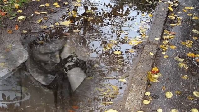 Батя я не плачу, это дождь идет.