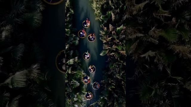 Вьетнам известен захватывающими ландшафтами, живописными рисовыми полями, величественными горами,