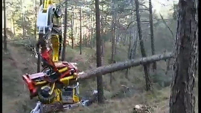 Валка леса. смотреть онлайн