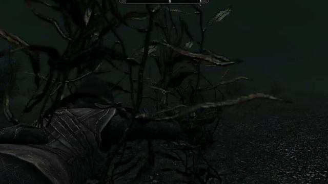 Skyrim highest survived jump смотреть онлайн
