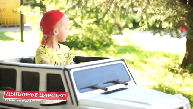 День золотого Петушка смотреть онлайн