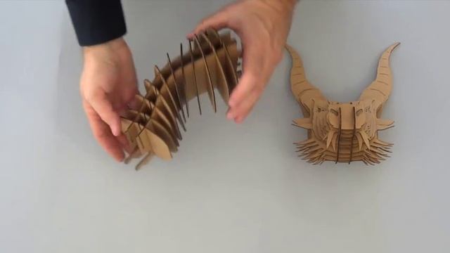 Dragon Assembly Video