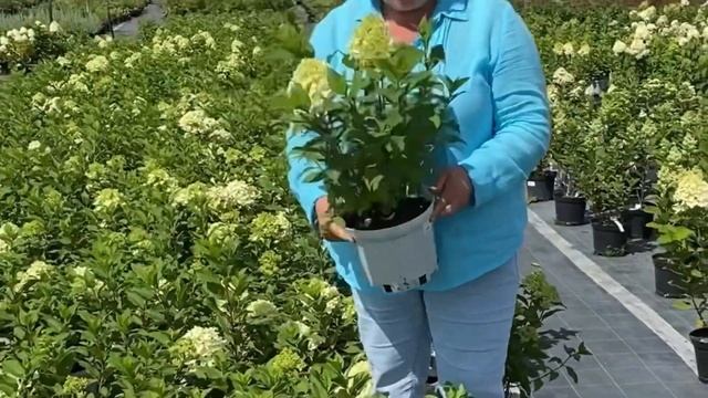 КОНТЕЙНЕР С3 смотреть онлайн