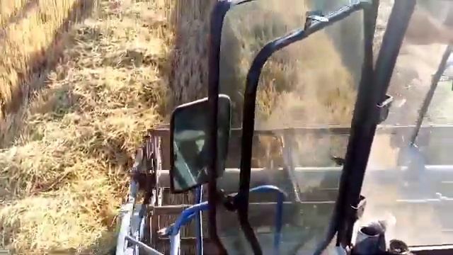 9 декабря 2020 г. смотреть онлайн