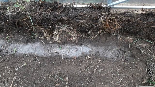 Парниковые посадки перца и томата Снегирь смотреть онлайн