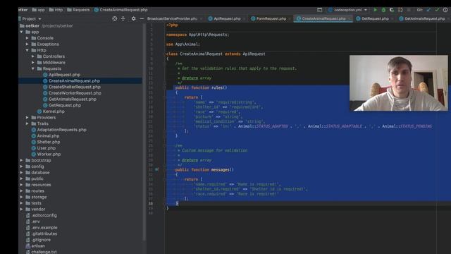 REST API на Laravel пишем сервис (service) - валидация (Validation) смотреть онлайн