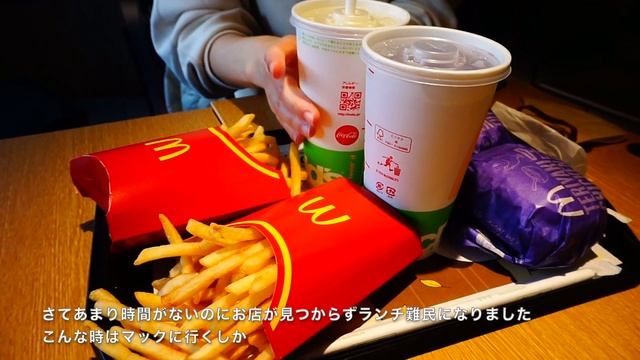 【日常vlog】都内二人暮らし:銀座でランチ?//冬支度をする?//誕生日のお祝い?//自炊記録//映画を楽しむ? смотреть онлайн