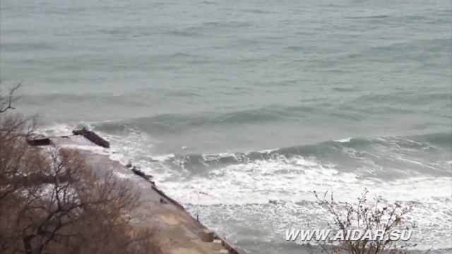 AIDAR skoro смотреть онлайн