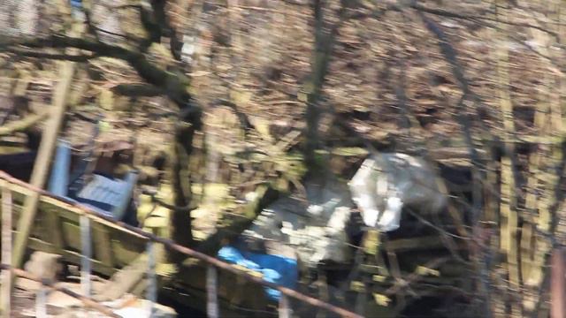 05 03 2019 горы, болото, мимоза цветет Кобулети ქობულეთი Аджария Грузия смотреть онлайн