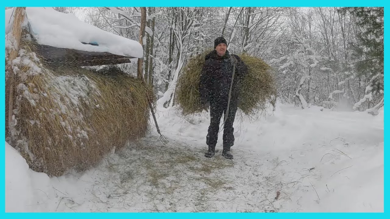Снежные деньки хозяйства в деревне! ❄️❄️❄️ смотреть онлайн