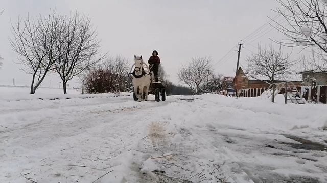 Лошади сбежали!! смотреть онлайн