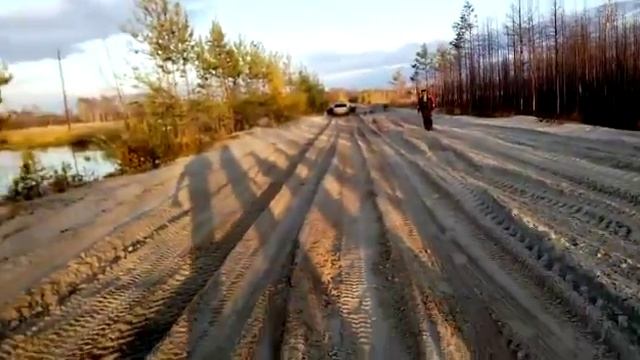 ALPHARD Hannibal 6P 8Ом смотреть онлайн