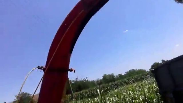 Tarupiranje Sudanske Trave (drugi Otkos)