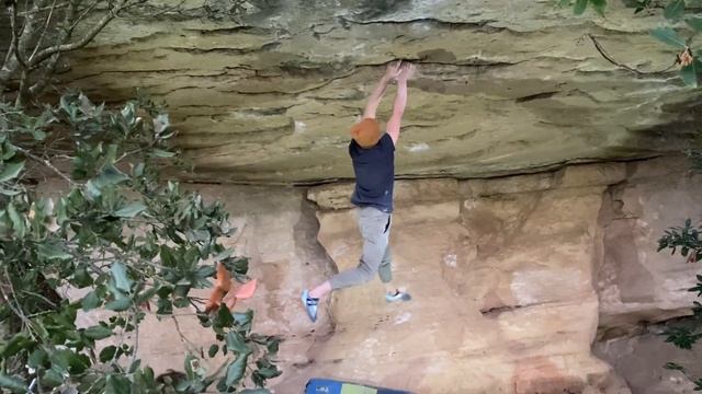 NEW KING LINE IN TARADELL смотреть онлайн