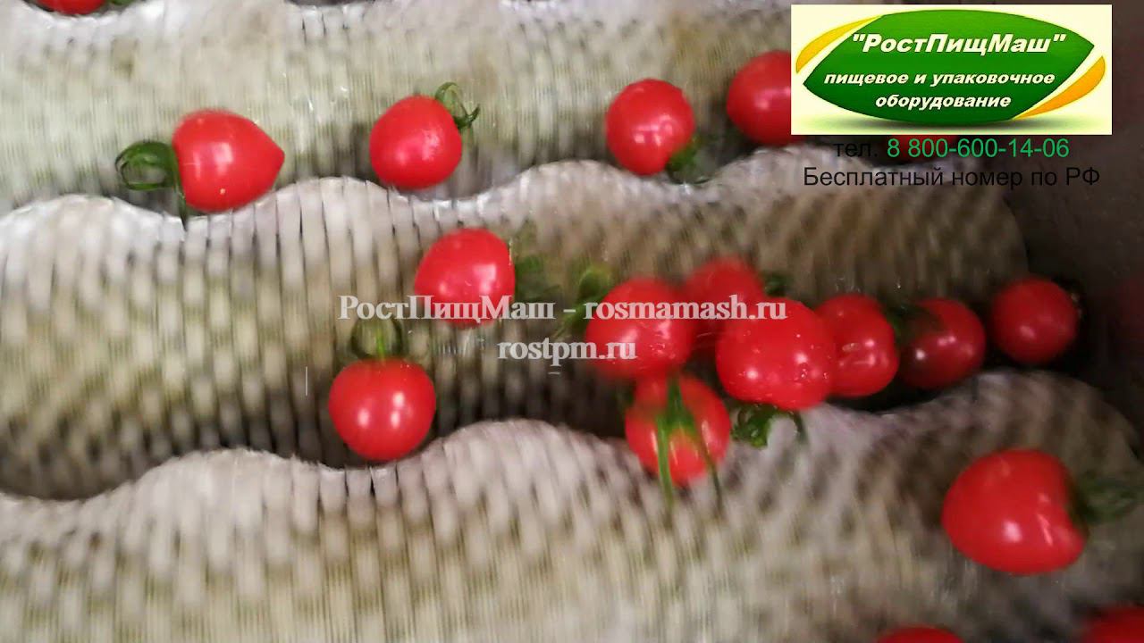 Машина для мойки овощей и фруктов GB-2000 от РостПищМаш смотреть онлайн