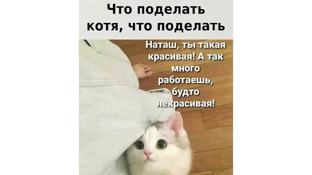 А МОЖНО НИНАДА?))) Приколы с котами | Мемозг 813 смотреть онлайн