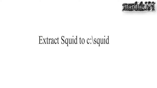 Second life: Make a 20GB cache using Squid and Perl (windows) смотреть онлайн