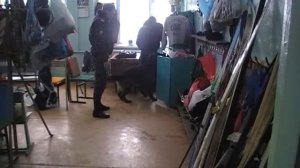 Поиск взрывного устройства в школе в г. Гусь-Хрустальный специалистом-кинологом