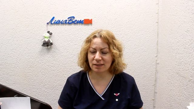 Учебник по Творческому Процессу