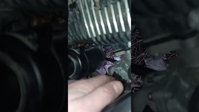 Мустанг фості 150 смотреть онлайн