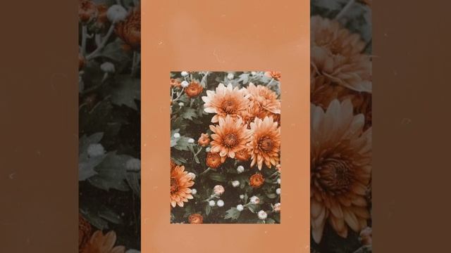 белый танец (remix "музыка енота" ) смотреть онлайн