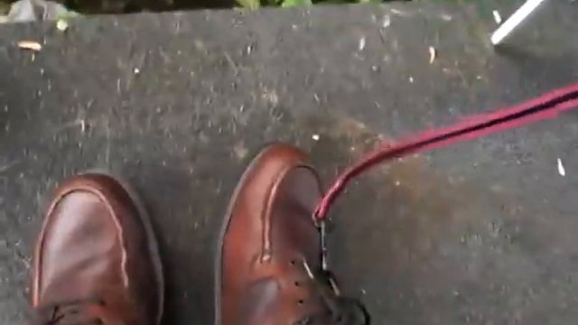 Dockers unleashed смотреть онлайн