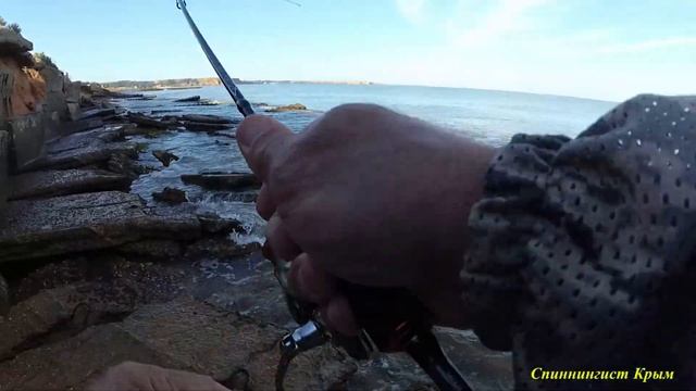 Морская рыбалка. Спиннинг Russian area от DAYO. смотреть онлайн