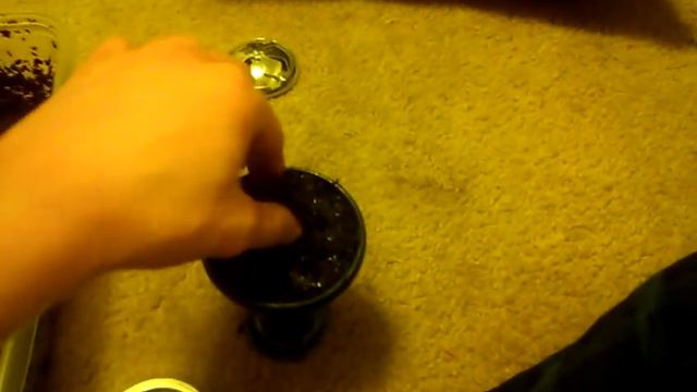 Packing Tangiers in a Kaloud Lotus How-to. смотреть онлайн