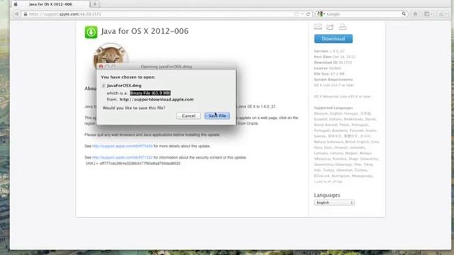 How To Downgrade From Oracle Java 7 To Apple Java 6 смотреть онлайн