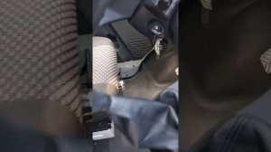 газон Некст ассенизатор 24.03.21.