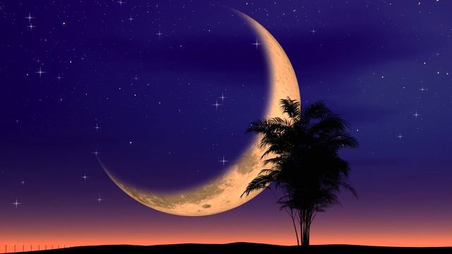 Crescent moon, palm trees and soothing music. Healing, relax, meditation and good quality sleep. смотреть онлайн