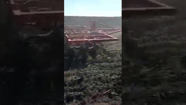 Культиватор КПС-4,5 на S-образных стойках в работе \ видео от клиента смотреть онлайн
