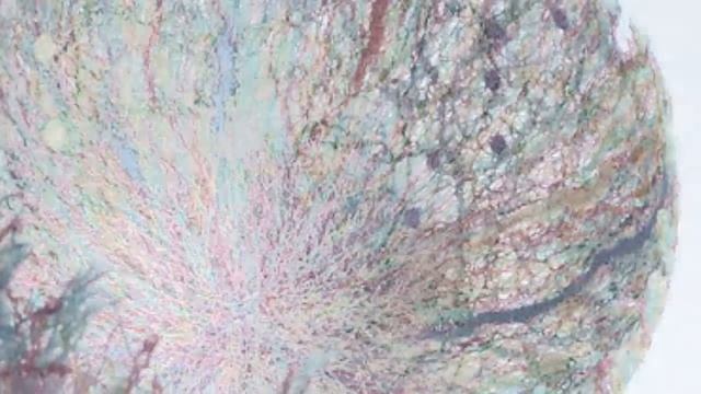 Крейзи вул. Вазы. Crazy Wool. Vases. смотреть онлайн